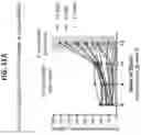 Fig. 16 - Isoform-selective TGFβ1 inhibitors and use thereof