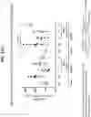 Fig. 18 - Isoform-selective TGFβ1 inhibitors and use thereof