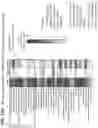 Fig. 47 - Isoform-selective TGFβ1 inhibitors and use thereof