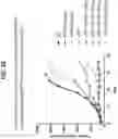 Fig. 60 - Isoform-selective TGFβ1 inhibitors and use thereof