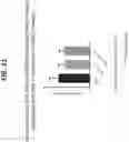 Fig. 64 - Isoform-selective TGFβ1 inhibitors and use thereof