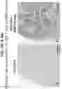 Fig. 75 - Isoform-selective TGFβ1 inhibitors and use thereof