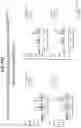 Fig. 92 - Isoform-selective TGFβ1 inhibitors and use thereof