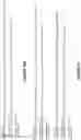 Fig. 16 - Antibodies binding to ILT4