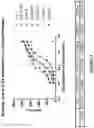 Fig. 18 - Antibodies binding to ILT4
