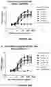 Fig. 30 - Antibodies binding to ILT4