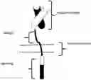 Fig. 01 - Chimeric antigen receptors and methods of use