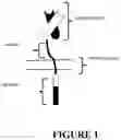 Fig. 02 - Chimeric antigen receptors and methods of use
