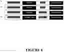 Fig. 09 - Chimeric antigen receptors and methods of use
