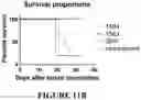 Fig. 17 - Chimeric antigen receptors and methods of use