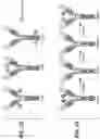 Fig. 23 - ANTI-CD79B ANTIBODIES AND IMMUNOCONJUGATES AND METHODS OF USE