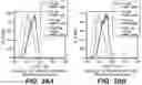 Fig. 27 - ANTI-CD79B ANTIBODIES AND IMMUNOCONJUGATES AND METHODS OF USE