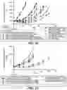 Fig. 45 - ANTI-CD79B ANTIBODIES AND IMMUNOCONJUGATES AND METHODS OF USE
