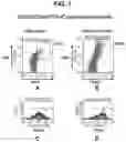 Fig. 08 - T REGULATORY CELLS AND USES THEREOF