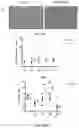 Fig. 10 - METHODS AND COMPOSITIONS FOR TUMOR THERAPY