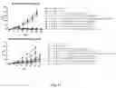 Fig. 18 - METHODS AND COMPOSITIONS FOR TUMOR THERAPY