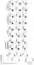 Fig. 17 - Antibodies and methods of use thereof