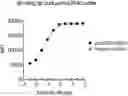 Fig. 01 - ANTI-OX40 ANTIBODIES AND METHODS OF USE THEREOF