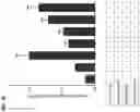 Fig. 07 - ANTIBODIES THAT BIND TO TL1A AND THEIR USES