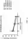 Fig. 07 - BCMA chimeric antigen receptors