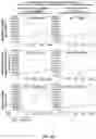 Fig. 12 - Agonistic tumor necrosis factor (TNF) receptor binding agents