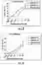 Fig. 12 - COMPOSITIONS AND METHODS FOR ENHANCING THE KILLING OF TARGET CELLS BY NK CELLS