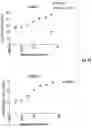 Fig. 41 - COMPOSITIONS AND METHODS FOR ENHANCING THE KILLING OF TARGET CELLS BY NK CELLS