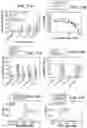 Fig. 17 - CD20 scFv-ELPs methods and therapeutics