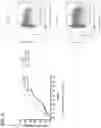 Fig. 05 - Chimeric antigen receptors targeting CD37