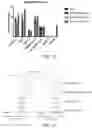 Fig. 15 - Chimeric antigen receptors targeting CD37