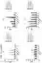 Fig. 18 - Chimeric antigen receptors targeting CD37