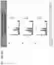 Fig. 25 - Chimeric antigen receptors targeting CD37