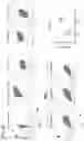 Fig. 27 - Chimeric antigen receptors targeting CD37