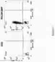 Fig. 04 - Compositions and methods for targeting stromal cells for the treatment of cancer