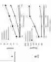 Fig. 23 - Compositions and methods for targeting stromal cells for the treatment of cancer