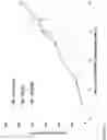 Fig. 33 - Compositions and methods for targeting stromal cells for the treatment of cancer