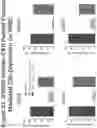 Fig. 33 - ANTI-COMPLEMENT C1S ANTIBODIES AND USES THEREOF