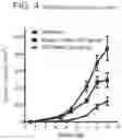 Fig. 08 - Binding molecules specific for CD73 and uses thereof