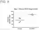 Fig. 13 - Binding molecules specific for CD73 and uses thereof