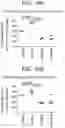 Fig. 20 - Binding molecules specific for CD73 and uses thereof