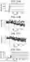 Fig. 28 - Binding molecules specific for CD73 and uses thereof