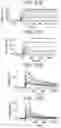Fig. 29 - Binding molecules specific for CD73 and uses thereof