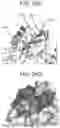 Fig. 37 - Binding molecules specific for CD73 and uses thereof