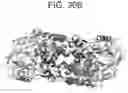 Fig. 51 - Binding molecules specific for CD73 and uses thereof