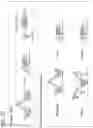 Fig. 55 - Binding molecules specific for CD73 and uses thereof