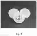 Fig. 07 - Protein coated polymeric substrate