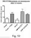 Fig. 11 - Protein coated polymeric substrate