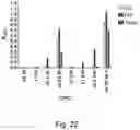Fig. 23 - Protein coated polymeric substrate