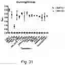 Fig. 32 - Protein coated polymeric substrate