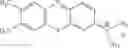 Fig. 42 - PHOTODYNAMIC THERAPY COMPLEX